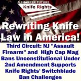 3rd Cir: AR & Mag Bans Unconstitutional – Supports SWB Ban Challenges